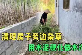 清理房子后面杂草，准备硬化做排水沟，侄女带弟弟越来越棒视频封面