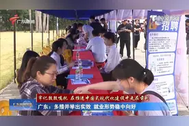 广东：多措并举出实效 就业形势稳中向好视频封面