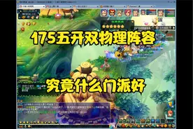 梦幻西游175五开日常之物理门派的选择视频封面