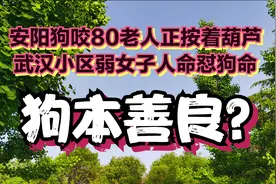 狗本善良？安阳狗咬80老人正按着葫芦，武汉小区弱女子人命怼狗命视频封面