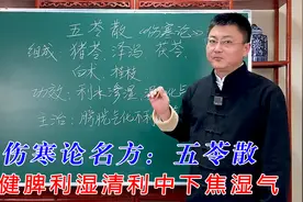 伤寒论名方：五苓散，健脾利湿清利中下焦湿气视频封面