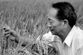 哀悼！5月22日13时07分，袁隆平院士因病逝世，享年91岁视频封面