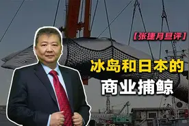 【张捷月旦评】冰岛和日本的商业捕鲸