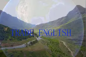 外贸英语---接待客户视频封面