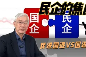 国企和民企的发展历程（1）改革开放中的民进国退视频封面