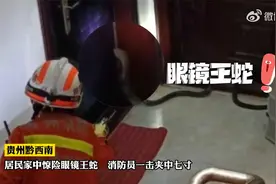 贵州黔西南：一居民家中惊现4米长眼镜王蛇视频封面