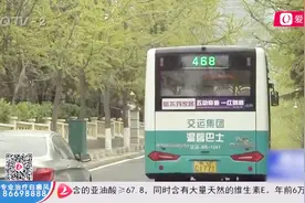 坐过站都觉得幸福！岛城最美公交线路，尽览山海间的最美风光视频封面