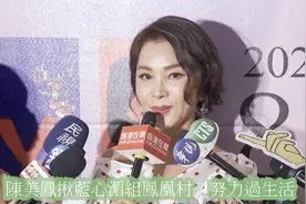 陈美凤揪蓝心湄组凤凰村互相照应不孤单视频封面