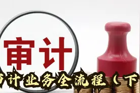 审计业务全流程（下）【转载】视频封面