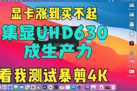 显卡涨到买不起，集显uhd630成生产力，暴剪4K视频封面