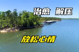 虫鸣治愈声：你以为你自己做不到，其实一定能做到，这是信念。视频封面