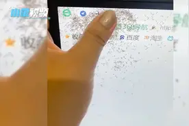 电脑屏幕里突然长了一窝蚂蚁，想起之前喝的饮料女生后悔了！