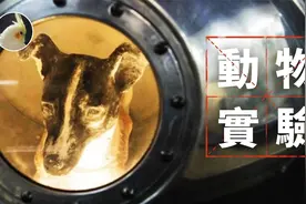 前苏联太空动物实验！史上第一只进入太空的狗...视频封面