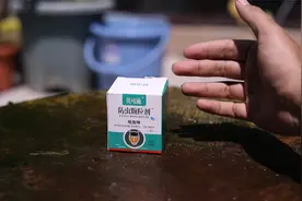 养花长了虫子怎么办？园艺师教你，用防虫颗粒剂，精准除虫速度快视频封面
