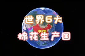 世界6大棉花生产国，你猜中国排第几?视频封面