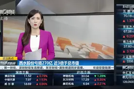 西水股份亏损270亿 近3倍于总市值视频封面