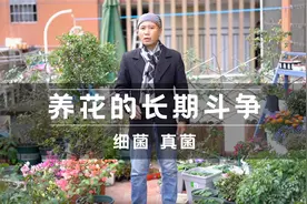 养花就要和细菌真菌做长期斗争，人一旦被感染，后果很严重视频封面