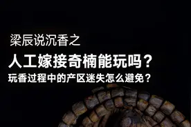 人工嫁接奇楠来势汹汹能不能玩？玩野生沉香经常迷失的问题分享视频封面
