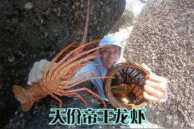 小俞赶海意外发现天价“帝王虾”，沙滩上遍地值钱海鲜，太刺激视频封面