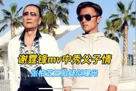谢霆锋mv中秀父子情，大儿子让张柏芝很欣慰，三胎疑似曝光视频封面