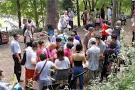 在一线城市找对象有多难？“相亲专业户”：60%年轻人看眼缘视频封面