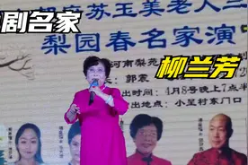 豫剧名家87岁柳兰芳大师重登舞台，拿手戏百听不厌，观众掌声不断视频封面