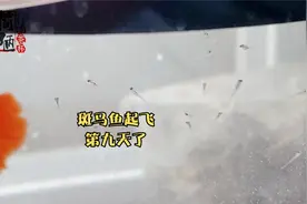 用破壁机打蛋黄是真给力，省去了好多的时间，关键是效果还好