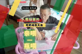 新生儿不吃母乳！坚持亲喂还是选择瓶喂？视频封面