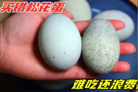 买松花蛋，挑表面有“黑点”还是没有的？买错浪费钱，还不新鲜