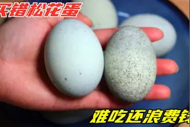 买松花蛋，挑表面有“黑点”还是没有的？买错浪费钱，还不新鲜视频封面