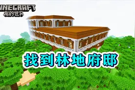 我的世界245：刷出林地探险地图！耗费2.5个鞘翅，到达林地府邸！