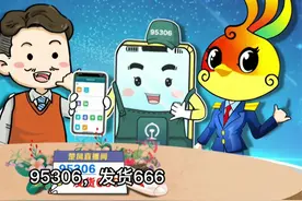 95306，发货666视频封面