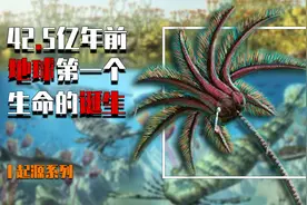 见证42.5亿年前，地球第一个生命的诞生，它到底从何而来？视频封面