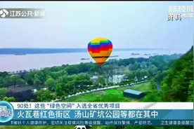 江苏90处“绿色空间”入选全省优秀项目，包含口袋公园和林荫路视频封面