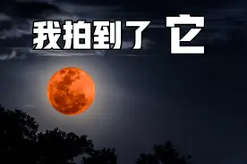我拍到了两个月亮？血月的秘密！视频封面