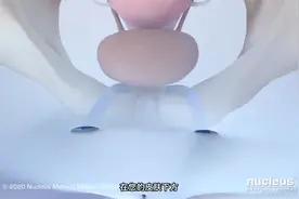 无张力阴道胶带（TVT）手术视频封面