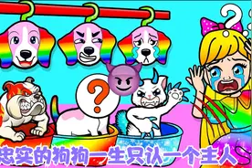 定格动画：忠实的狗狗被女孩误会，依旧不离不弃拼命守护着小主人视频封面