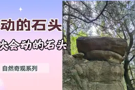 奇石！风吹会动的乌龟石视频封面