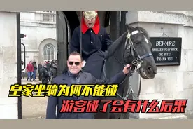 为何英国皇家骑兵的马不能碰，游客碰了皇家马匹，会有什么后果？视频封面