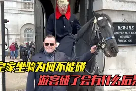 为何英国皇家骑兵的马不能碰，游客碰了皇家马匹，会有什么后果？视频封面