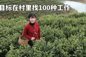 70岁婆婆一天能挣100多元？工资上不封顶，比的是眼力和手速视频封面