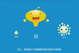 芝麻多肽降血压的依据，哪些人最需要使用肽？视频封面