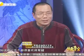 拍卖价格不稳定？一对青花将军罐才拍9万，藏友的一个专家就估8万视频封面
