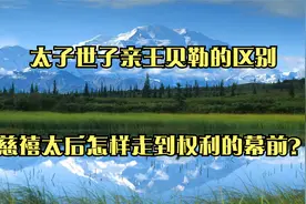 太子世子亲王贝勒的区别_慈禧太后怎样走到权利的幕前？视频封面