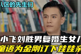 大结局：向小飞和刘胜男复婚生下女儿，童语为金刚订下娃娃亲！