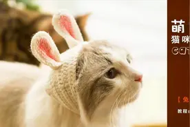 【A661】苏苏姐家_钩针萌宠猫咪头套_兔子款教程
