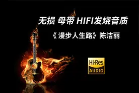 无损母带《漫步人生路》陈洁丽，经典发烧HIFI音质珍藏原声好音乐视频封面