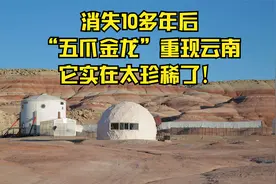 消失10多年后，“五爪金龙”重现云南，它实在太珍稀了！视频封面