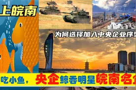 中央上收皖南芜湖马鞍山宣城繁昌等6明星企业，从此皖企变央企视频封面