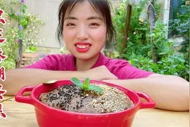 活了18年才知道黑芝麻糊的正确吃法，以后不要用来冲水喝了视频封面